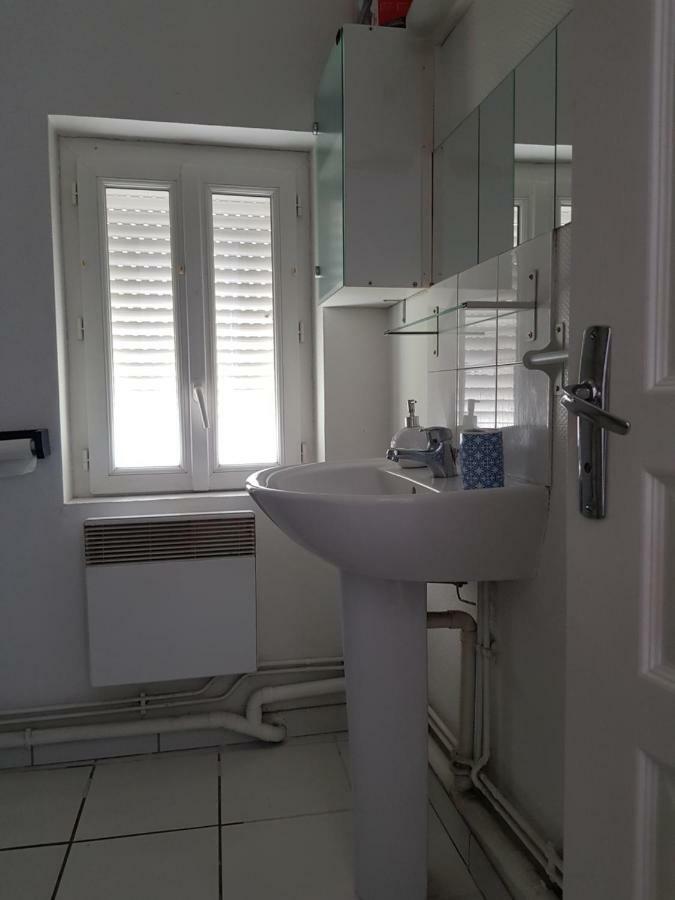 Cosy Appartement Chaleureux Proche Centre Ville Діжон Екстер'єр фото